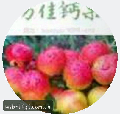 刘洋